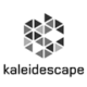 Kaleidescape-Logo-black–white_110px