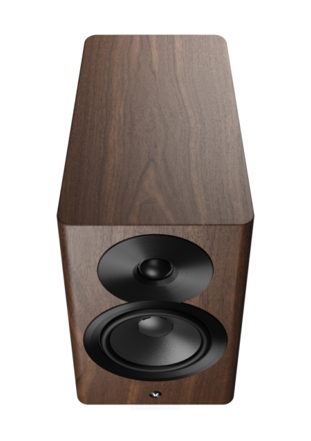 Dynaudio Focus 10