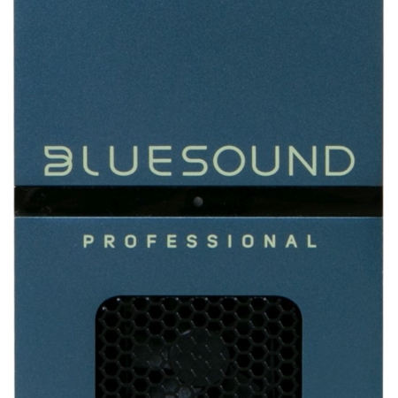 Bluesound Pro B170S