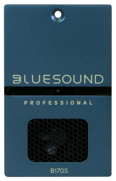 Bluesound Pro B170S