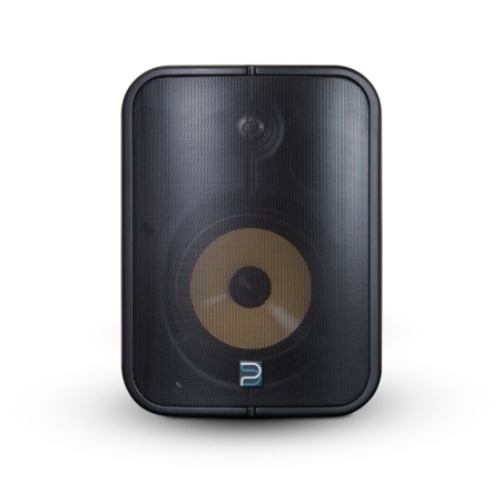 Bluesound Pro BSP1000B