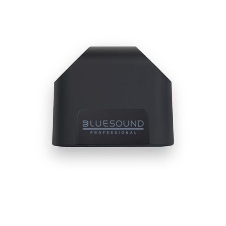 Bluesound Pro BSP125B