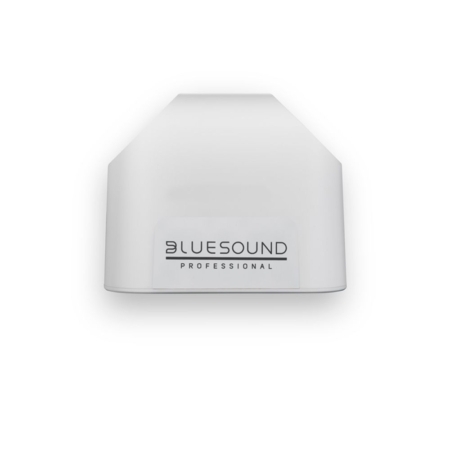 Bluesound Pro BSP125B