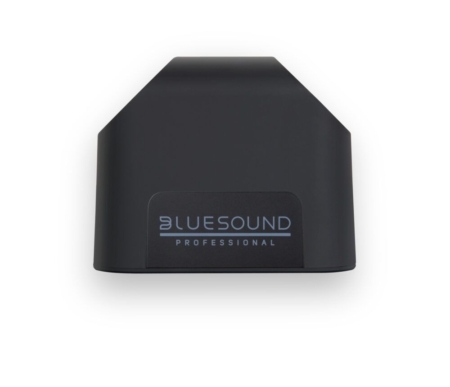 Bluesound Pro BSP200B