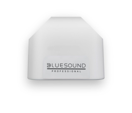 Bluesound Pro BSP200B