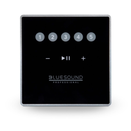 Bluesound Pro CP100