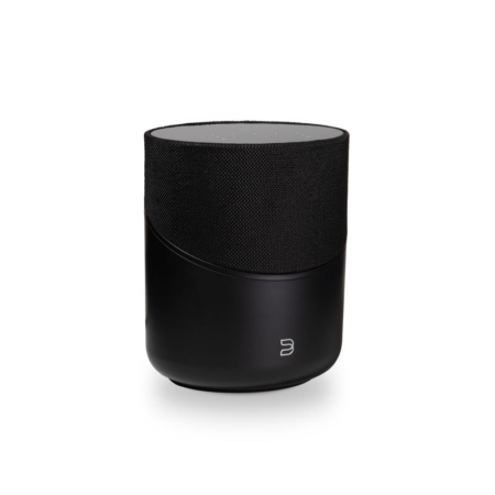 Bluesound Pulse M