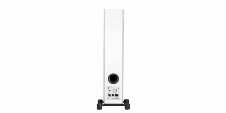 System Audio Legend 40.2 Silverback DS - Image 5